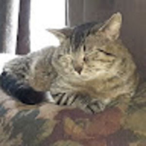 Meet your Posher, Todd